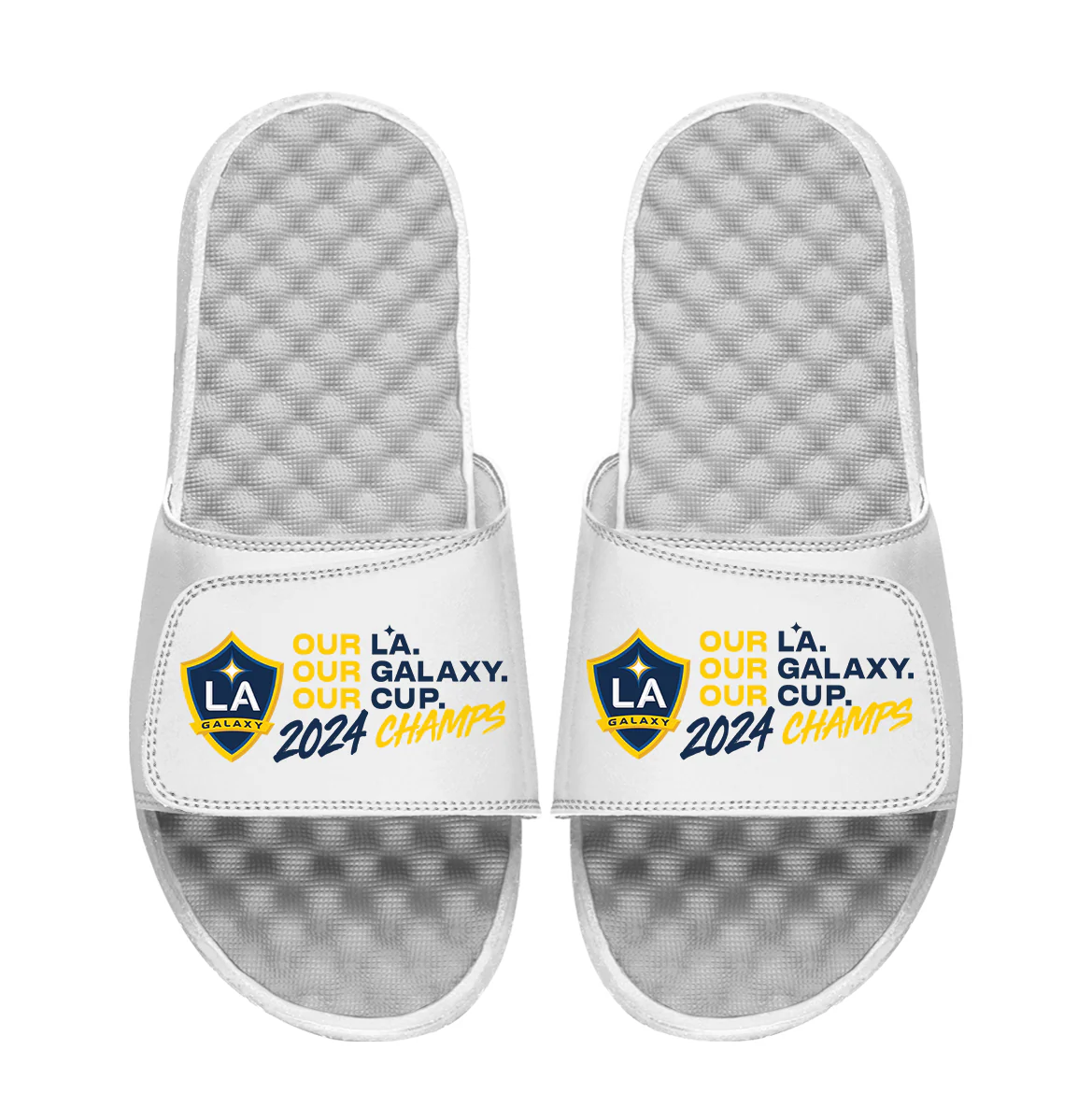 LA Galaxy 2024 MLS Cup Champions Our Cup - Image 2